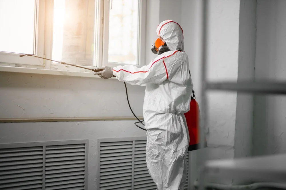 Professional mold remediation services in Bogota, NJ